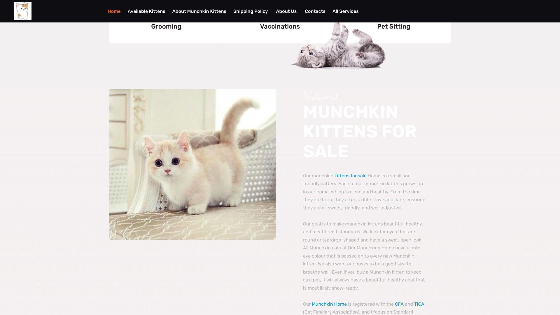 munchkinkittenhome.site