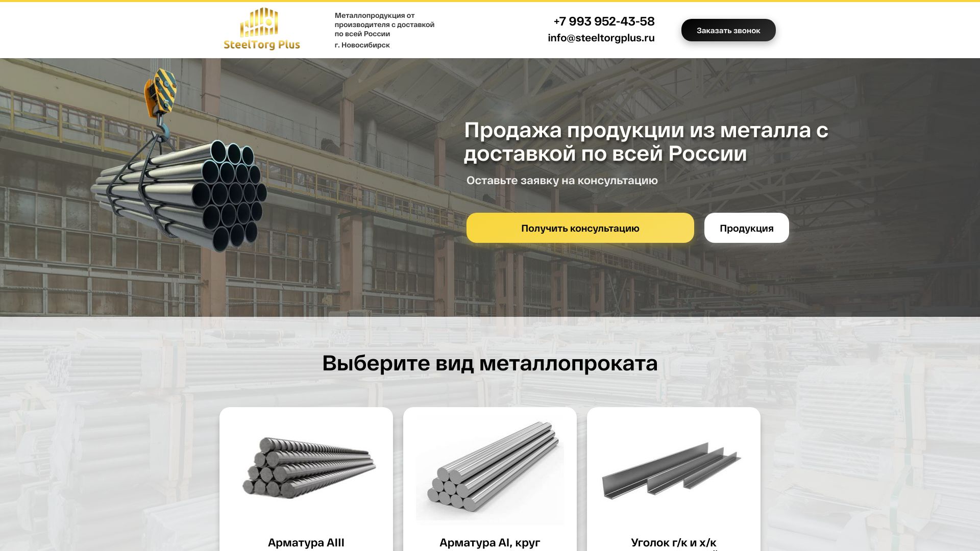 steeltorgplus.ru