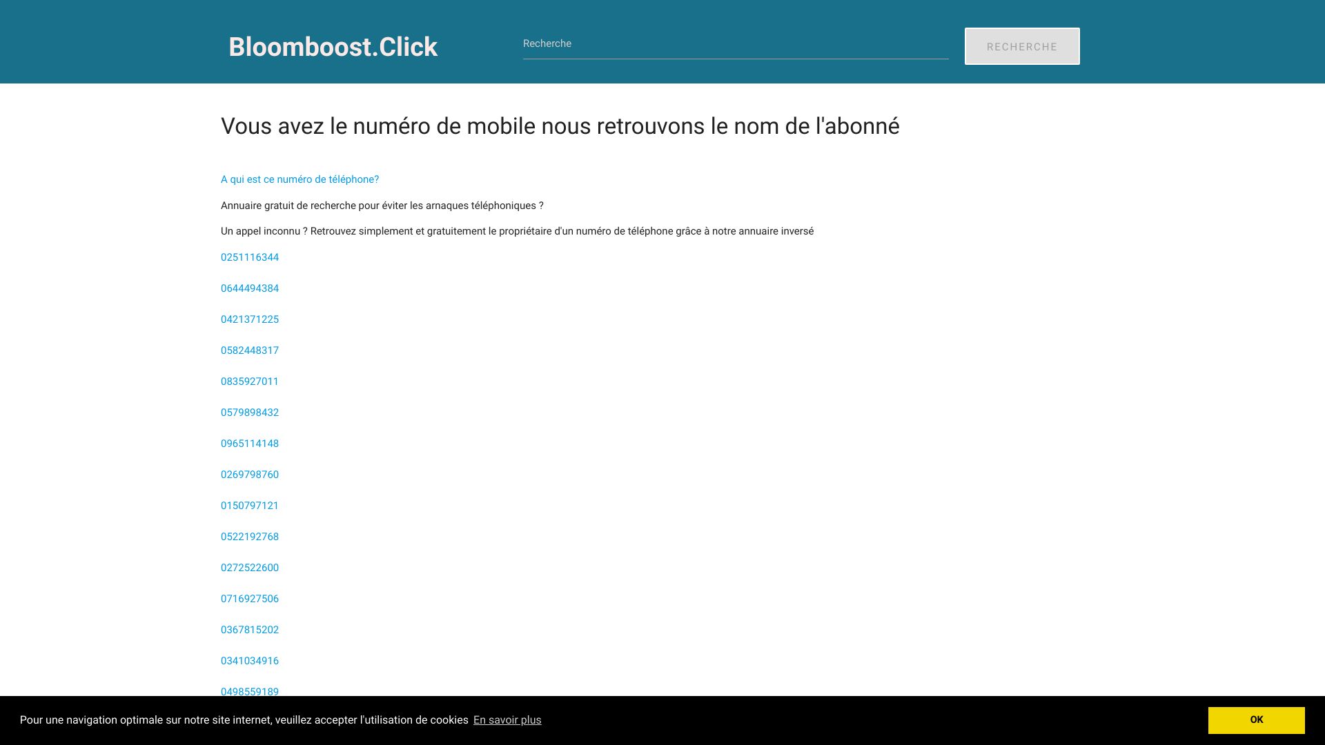 bloomboost.click