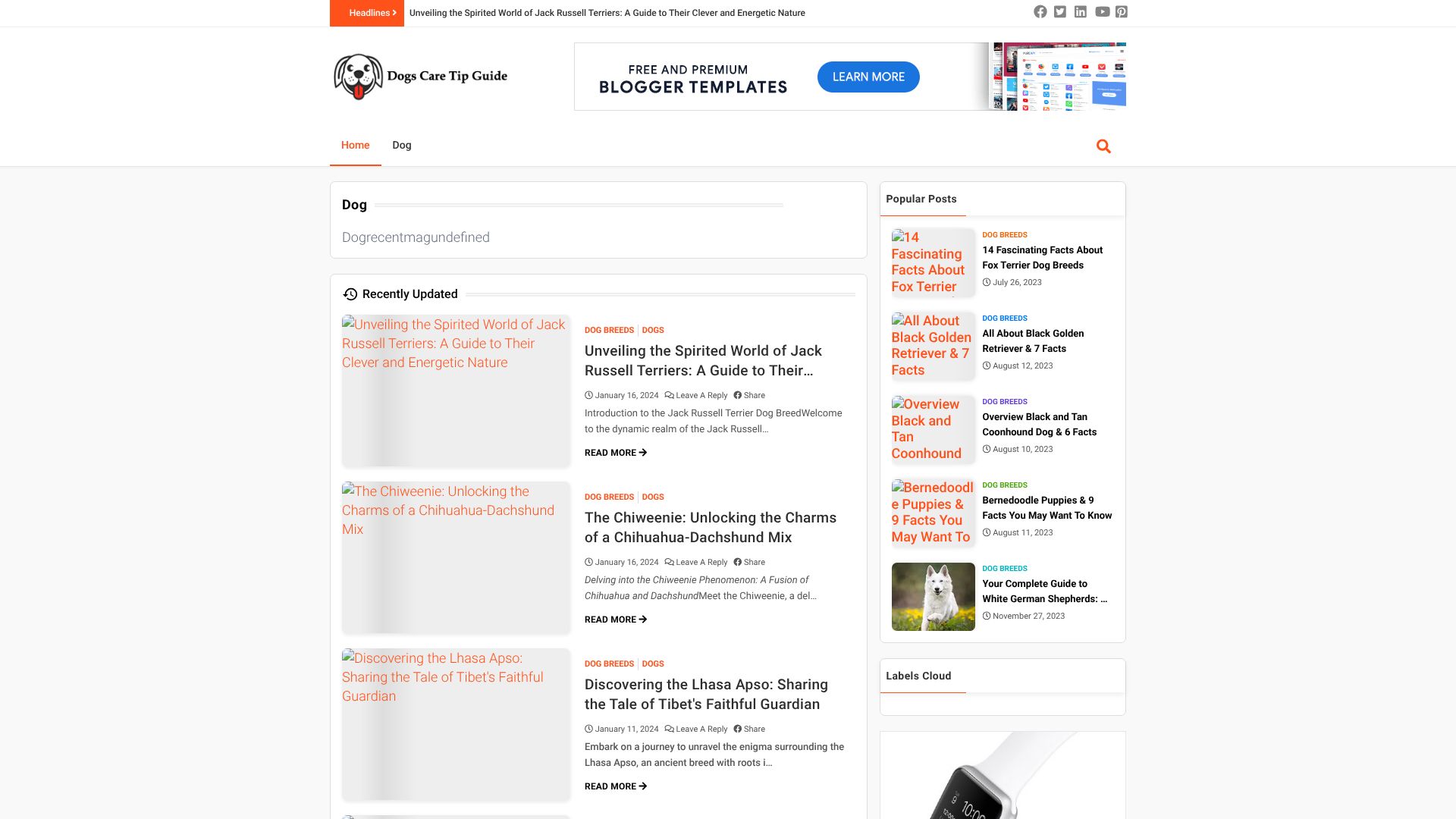 dogscaretipguide.blogspot.com
