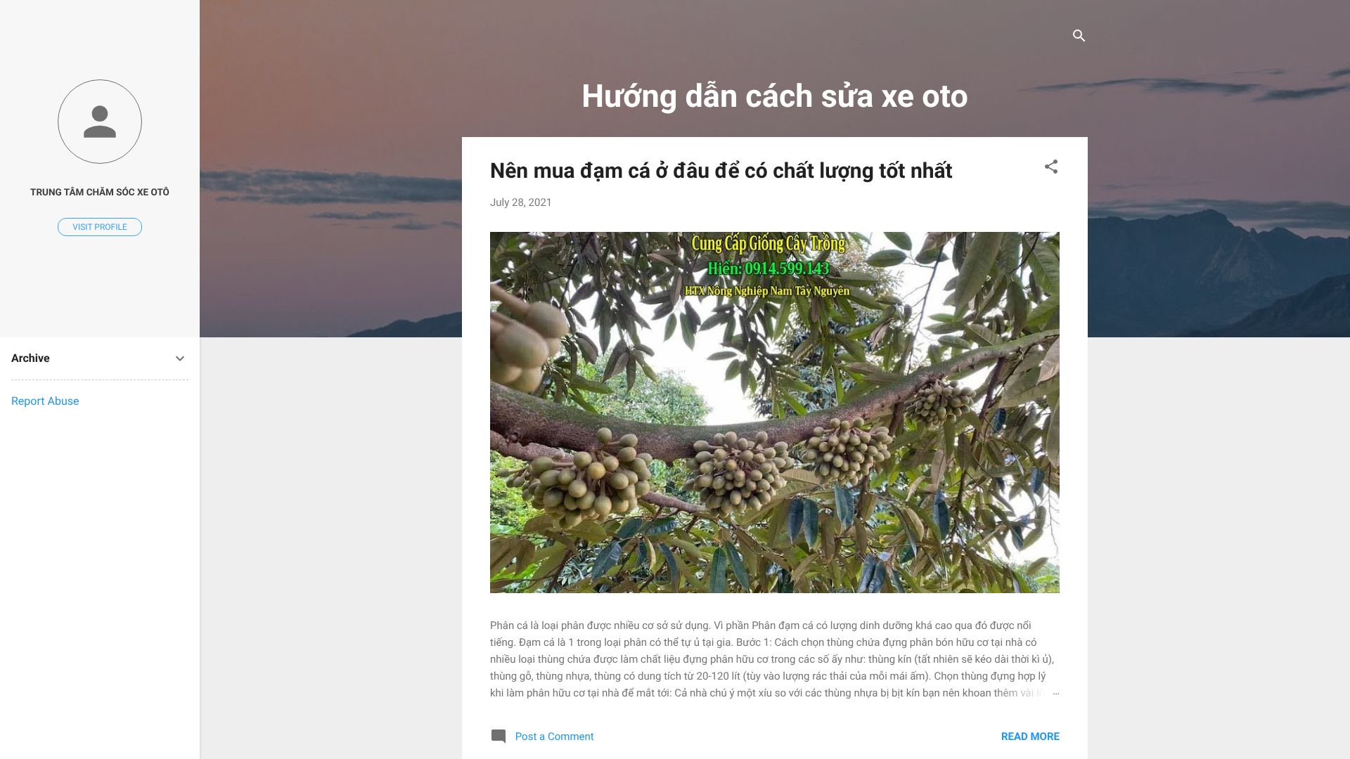huongdansuaxeoto.blogspot.com