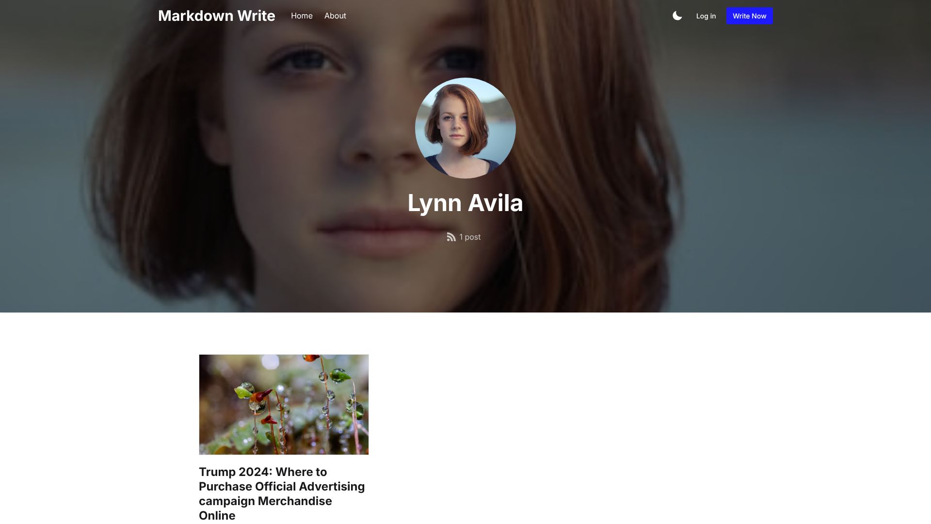 lynn-avila.mdwrite.net