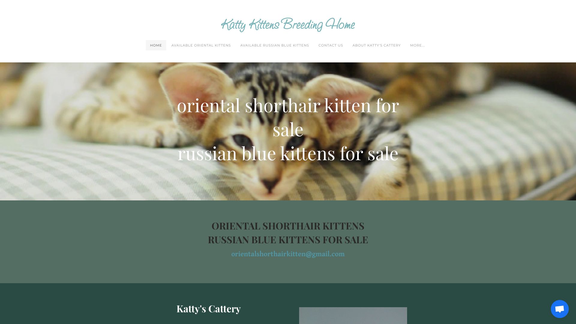 orientalshorthair.company.com