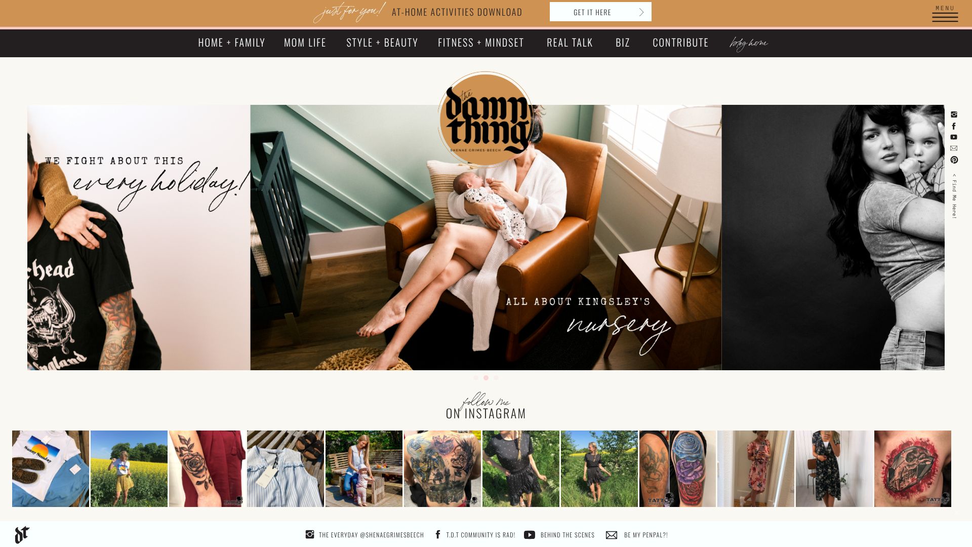 thedamnthing.com