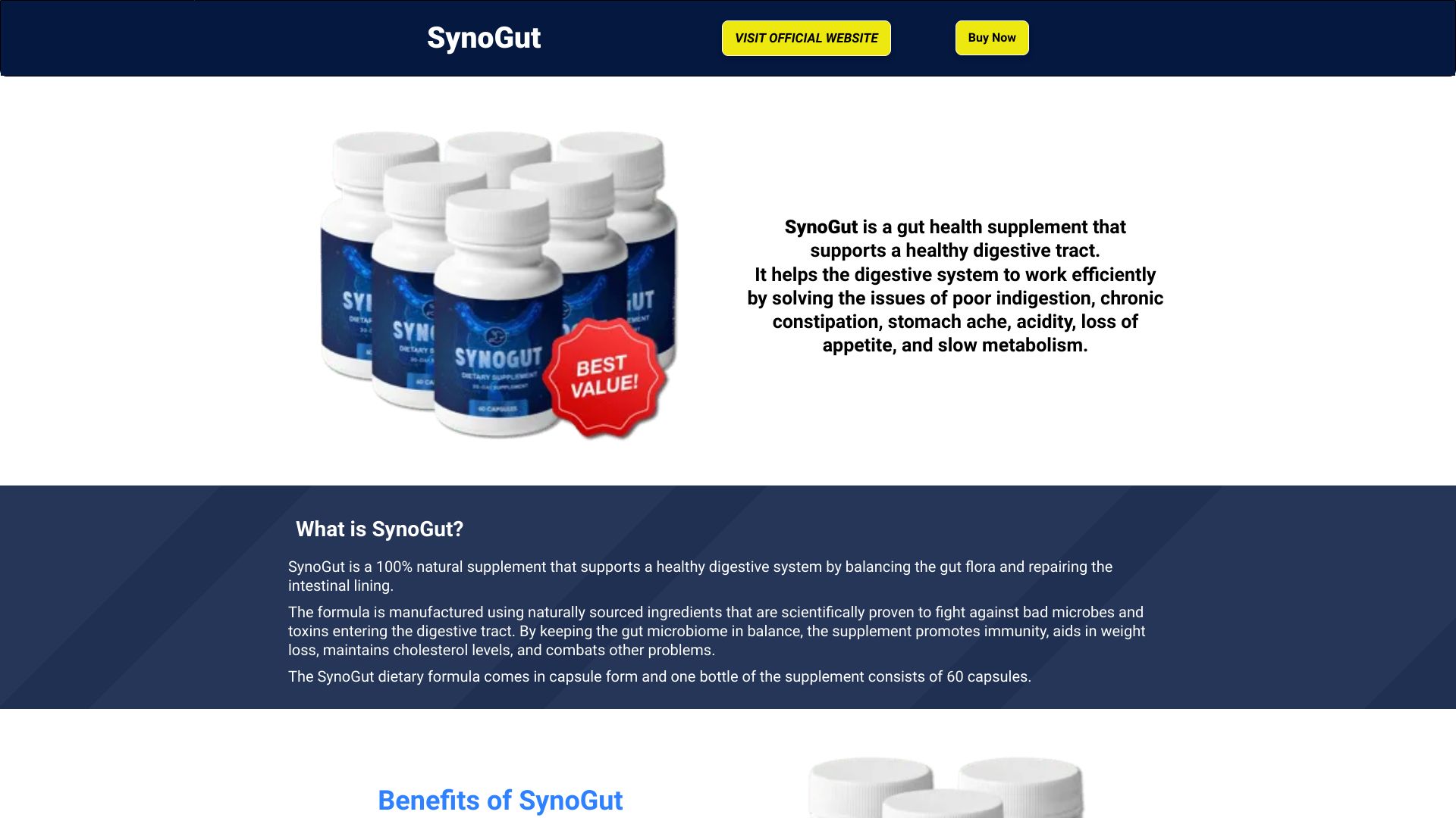 thesynogut.shop